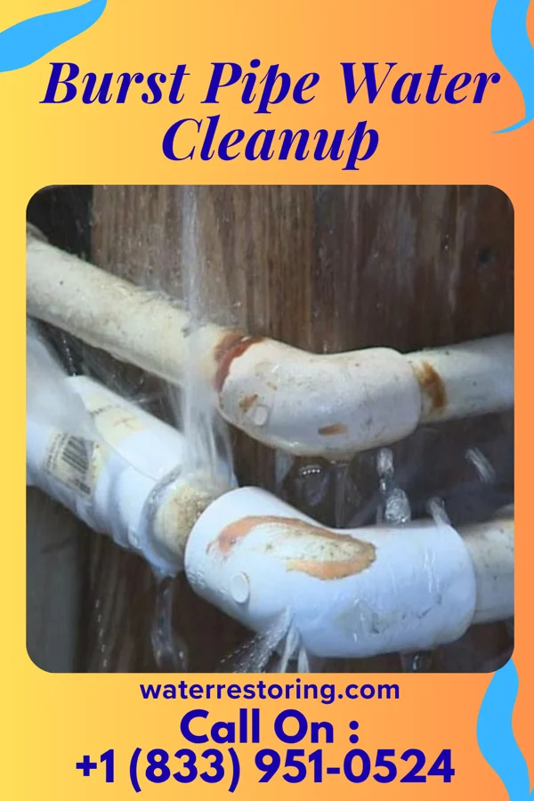 Burst Pipe Water Cleanup in Rosston, OK